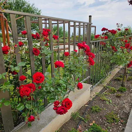 アパートホテル Diamond Sarafovo By Kp