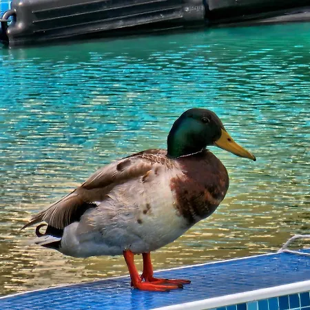 アパートホテル Diamond Sarafovo By Kp ブルガス