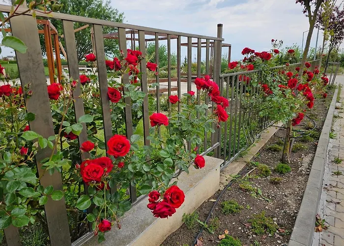 Apartahotel Diamond Sarafovo By Kp