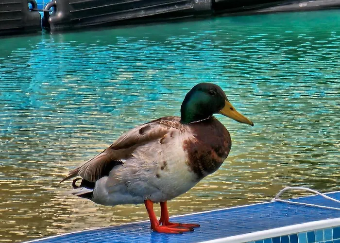 Apartahotel Diamond Sarafovo By Kp Burgas