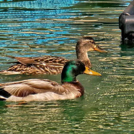 Aparthotel Diamond Sarafovo By Kp Burgas