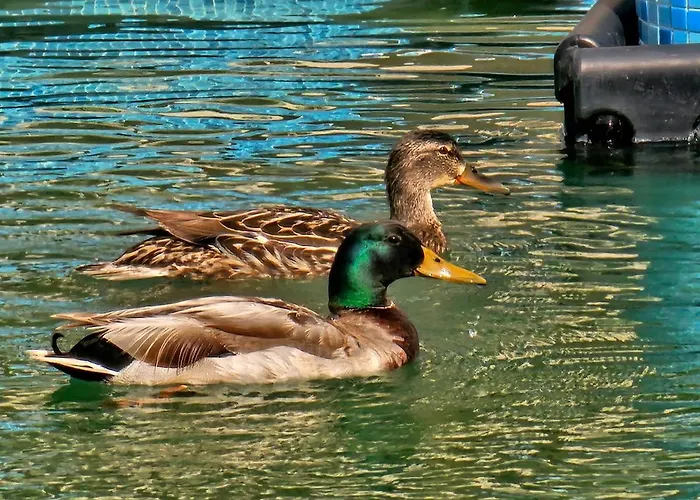 Appart hôtel Diamond Sarafovo By Kp Burgas